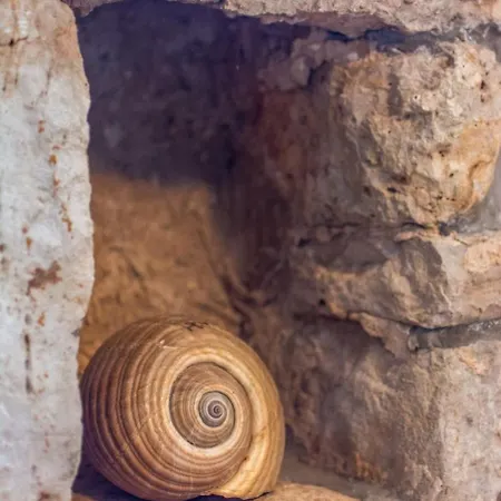 House Stone Tatil Evi *
