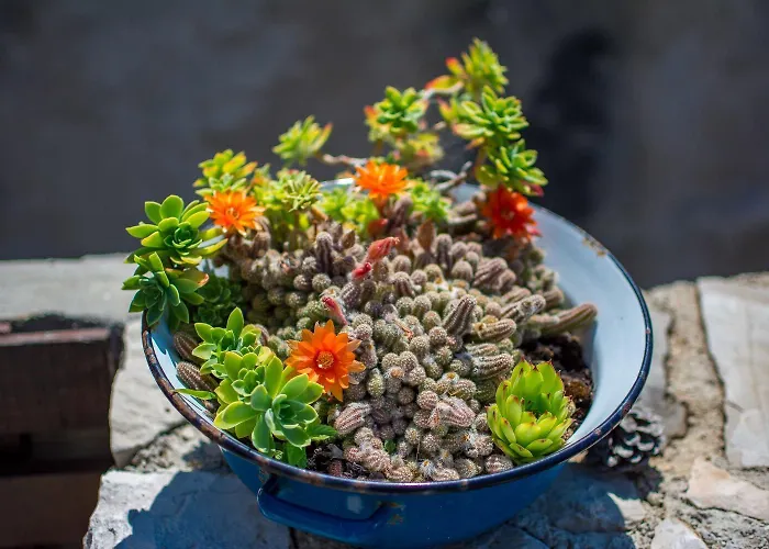 Semesterbostad House Stone *